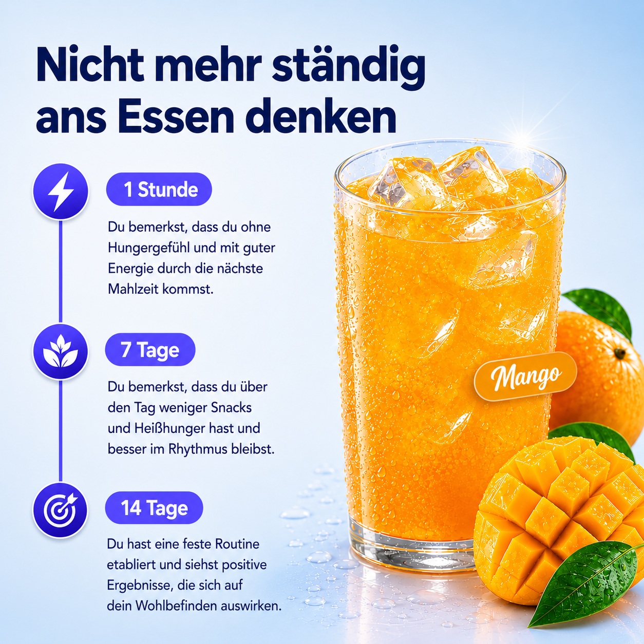 Sternenstaub Fettverbrenner Musterbox